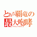 とある覇竜の最大咆哮（バウンドボイス）