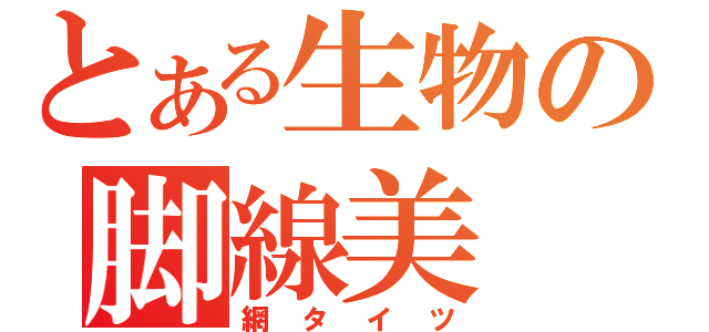 とある生物の脚線美（網タイツ）