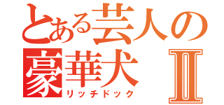 とある芸人の豪華犬Ⅱ（リッチドック）