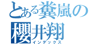 とある糞嵐の櫻井翔（インデックス）