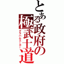 とある政府の極武士道（グラハムエーカー）