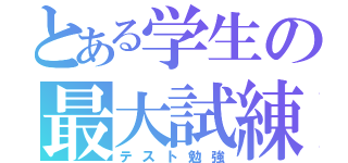 とある学生の最大試練（テスト勉強）