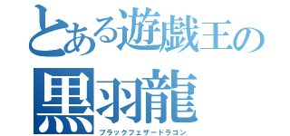 とある遊戯王の黒羽龍（ブラックフェザードラゴン）