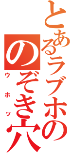 とあるラブホののぞき穴（ウホッ）