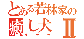 とある若林家の癒し犬Ⅱ（キララ）