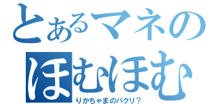 とあるマネのほむほむ（りかちゃまのパクリ？）