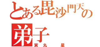 とある毘沙門天の弟子（寅丸 星）