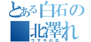 とある白石の 北澤れん（ウサギの恋）