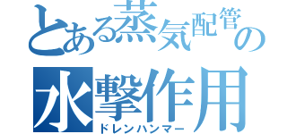 とある蒸気配管の水撃作用（ドレンハンマー）