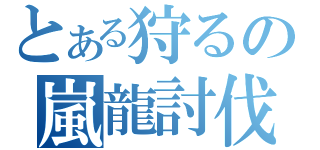 とある狩るの嵐龍討伐（）