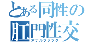 とある同性の肛門性交（アナルファック）