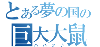 とある夢の国の巨大大鼠（ハハッ♪）