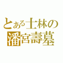 とある士林の潘宮壽墓（）