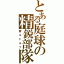 とある庭球の精鋭部隊（聖ルドルフ）