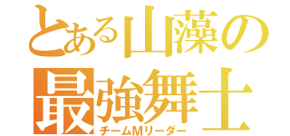 とある山藻の最強舞士（チームＭリーダー）