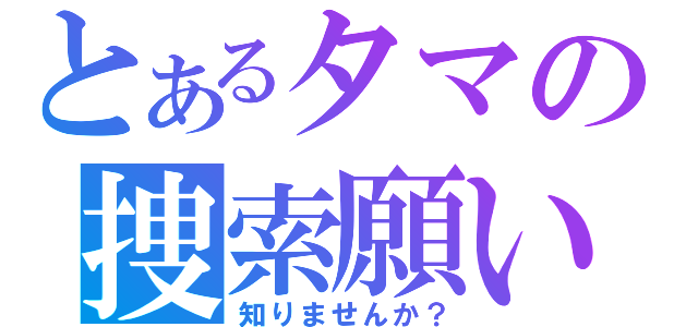 とあるタマの捜索願い（知りませんか？）