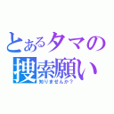 とあるタマの捜索願い（知りませんか？）