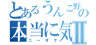 とあるうんこ野郎の本当に気持ちのいいⅡ（ニーオナ）