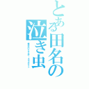 とある田名の泣き虫（俺は泣いてなんか……ウワアアァァ）