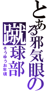 とある邪気眼の蹴球部（そうゆうお年頃）