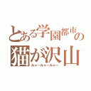 とある学園都市の猫が沢山（みゃーみゃーみゃー）