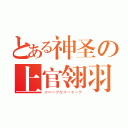 とある神圣の上官翎羽（ユニークなマーキング）