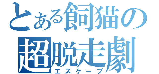 とある飼猫の超脱走劇（エスケープ）