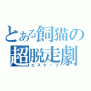 とある飼猫の超脱走劇（エスケープ）