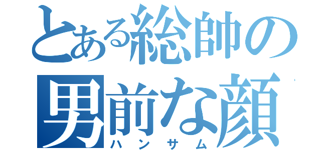 とある総帥の男前な顔（ハンサム）