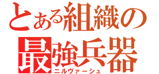 とある組織の最強兵器（ニルヴァーシュ）