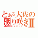 とある大佐の返り咲きⅡ（カムバック）