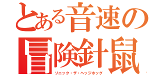 とある音速の冒険針鼠（ソニック・ザ・ヘッジホッグ）