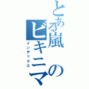 とある嵐のビキニマン（インデックス）