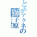 とあるアクネの獅子原Ⅱ（アクネ菌の王）