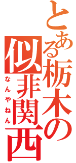 とある栃木の似非関西（なんやねん）