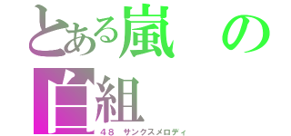 とある嵐の白組（４８　サンクスメロディ）