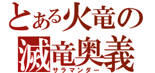 とある火竜の滅竜奥義（サラマンダー）