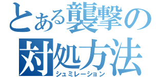 とある襲撃の対処方法（シュミレーション）