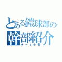 とある鎧球部の幹部紹介（チーム小菅）