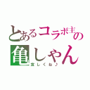 とあるコラボ主の亀しゃん（宜しくね♪）