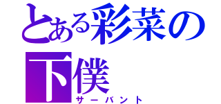 とある彩菜の下僕（サーバント）