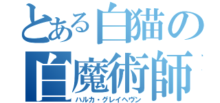 とある白猫の白魔術師（ハルカ・グレイヘヴン）