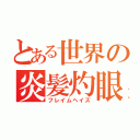 とある世界の炎髪灼眼（フレイムヘイズ）