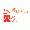 とある受験まで２年の小梅（小梅ちゃん）