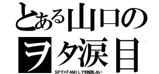 とある山口のヲタ涙目（ＳＰＹ×ＦＡＭＩＬＹを放送しない）