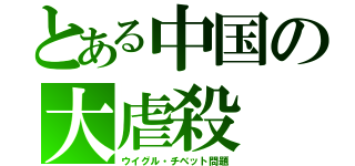 とある中国の大虐殺（ウイグル・チベット問題）