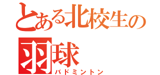 とある北校生の羽球（バドミントン）