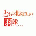 とある北校生の羽球（バドミントン）