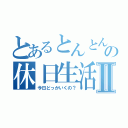 とあるとんとんの休日生活Ⅱ（今日どっかいくの？）