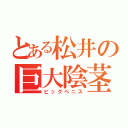 とある松井の巨大陰茎（ビッグペニス）